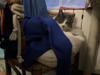 �������Q���肪�Ƃ�