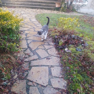 1��13��(��)�@�C�ɂ����Ă��ꂽ?