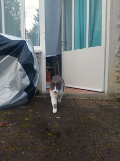 �����ۂ҂�҂�