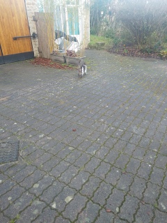 �L���ɓ������ˁ[��