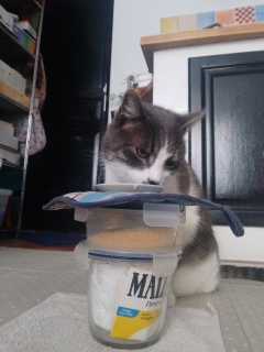 ���M�̗��ɂ��Ƃ��