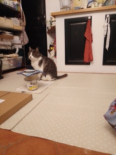 �������܁[