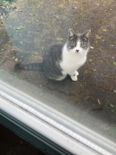 1��14��(��) ��������Ⴂ