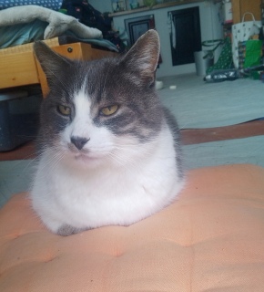 ����킢��!