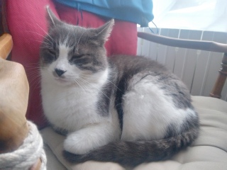 �[�Q�͂�����