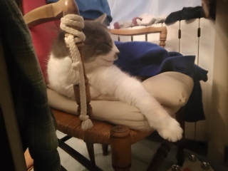 �����ђ���