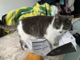 1��15��(��) �����D��