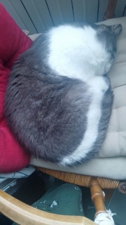 �h�����鍡���̒��Q�ꏊ�ɑI�΂�܂���!