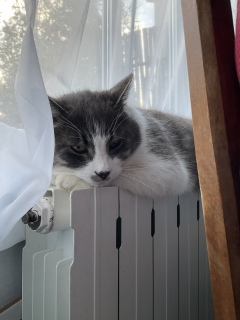 1��16��(��)�@��x�Q?�@���Q?