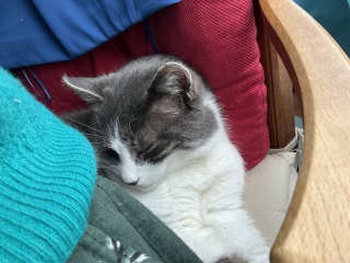 ��΂�����񂩂�