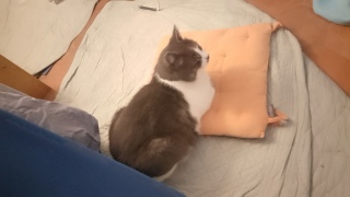 �ʂ��ʂ����肪�Ƃ�!