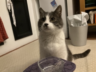 1��17��(�y) �����̂��Ƃ߂��肪�Ƃ�