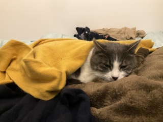 ���˂ނ�肨���