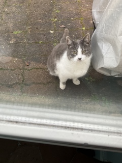 1��18��(��) ���͂悤�L���