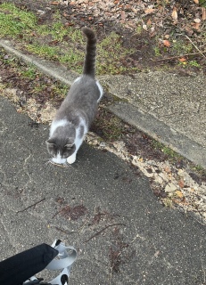 �ˁ[�����o�΂ł�