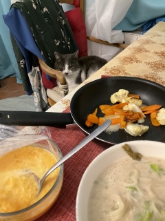 �ӂ��͂񌩎��܂�