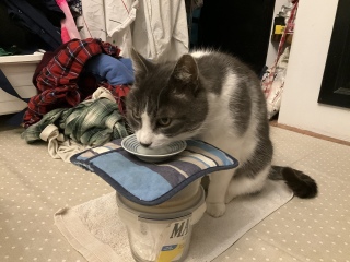 1��19��(��) 3���̂����