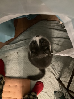 ����̖�̎ʐ^�ł�