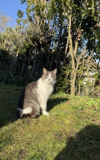 1��21��(��) �����V�C��˂�