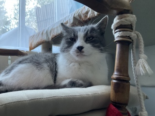 �ˁ[���̓x�b�h�ɍ��|���Ă������͂�H