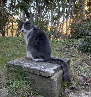 �����͂��񂱌���