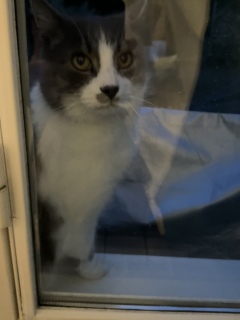 1��22��(��) ��������������Ⴂ