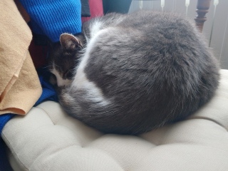 1��23��(��) ���������肪�Ƃ�