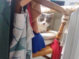 ��U���ڊo�߁A����̂�