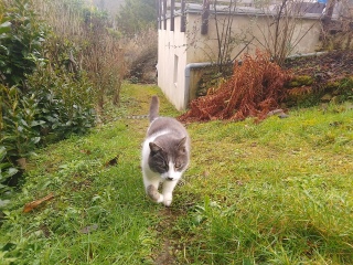 �����傳��Ɏ�`���v��