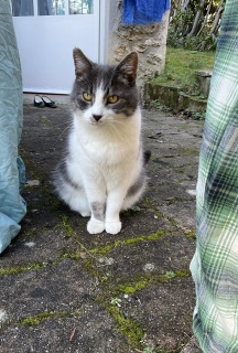 ����Ⴉ�킢��