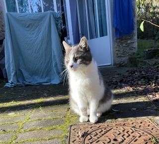 �������܂��Ă�