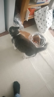 1��25��(��)�@�ˁ[���͏o�΂ł�