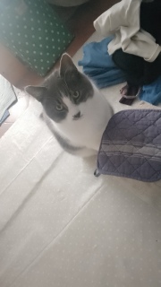 �����S�菟��