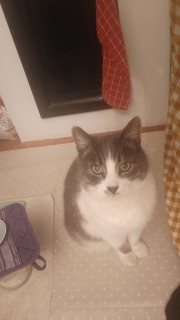 ����킢����