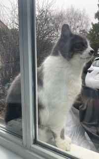 1��26��(��) ��������Ⴂ