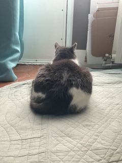 ����������킢���˂�