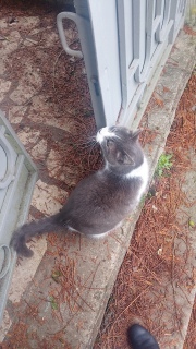 �L�����d���s����