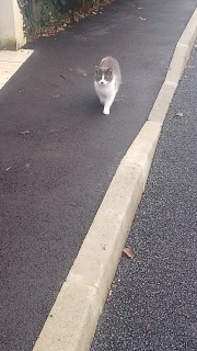 ���Ƃւ��A�ꂵ�܂�