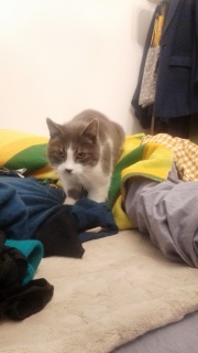 �������肷�肷��