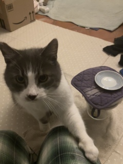 1��27��(��) �J�̂��A��������Ⴂ