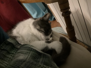 ����̂��A���˂�