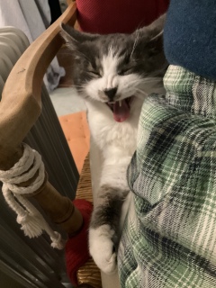 �����т����@��