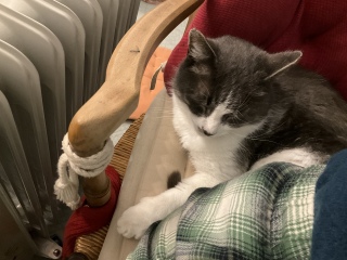 ���ꂱ��1����