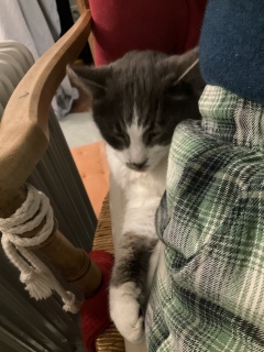 �����т����@��