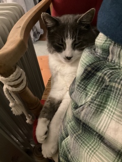 ����ʂ�����