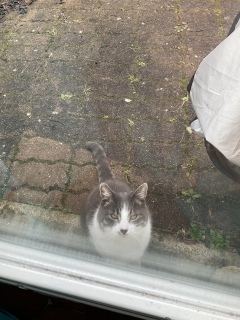 1��28��(��) �����̏o��