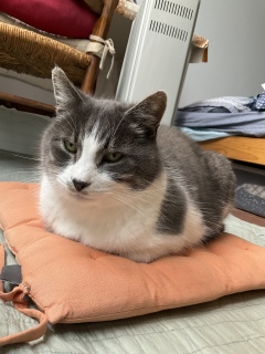 ���т����킢��