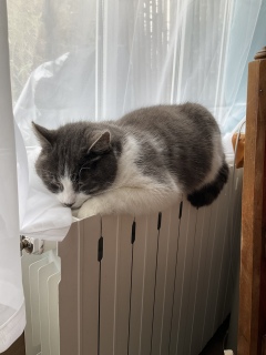 �ɂ������z�����ނˁ[���ł�