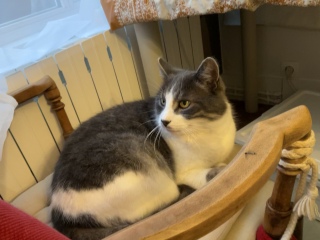 �[�������˂�