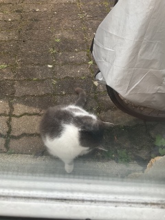 1��29��(��) �������O����